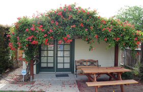 Palermo Building Research Reading Room